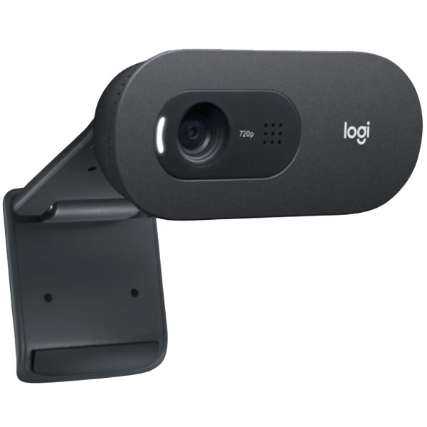 Logitech C505e webcam